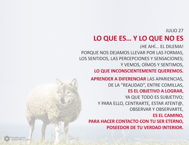 Lo que es... y lo que no es